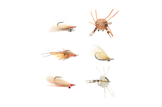 Fulling Mill Tropics Selection Flies