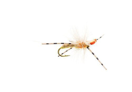 Grillos User Friendly PMD / 14 Trout Flies