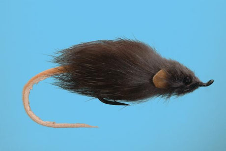 Hair Mouse Flies