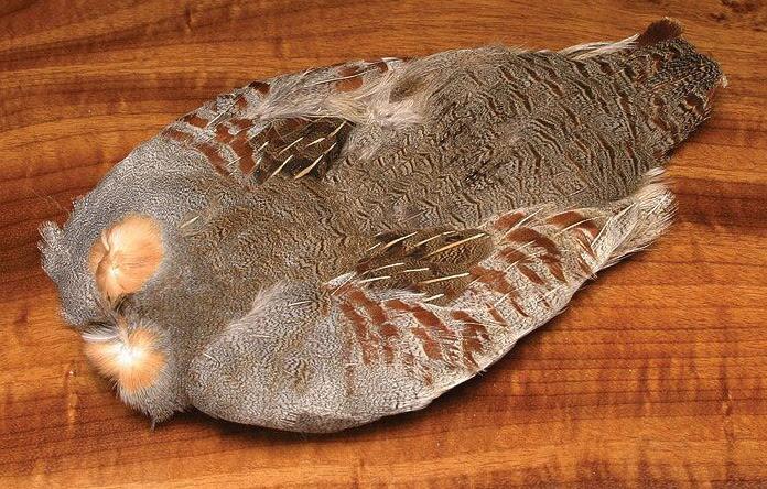 Hareline #1 Hungarian Partridge Skin