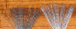 Hareline Barred Mayfly Tails White #1 Black Barred Legs, Wings, Tails