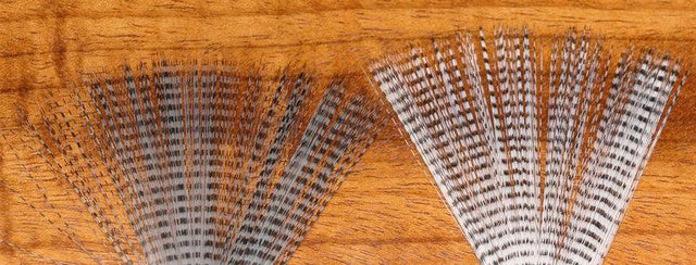 Hareline Barred Mayfly Tails White #1 Black Barred Legs, Wings, Tails