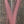 Hareline Dubbin Krystal Flash Pink Flash, Wing Materials