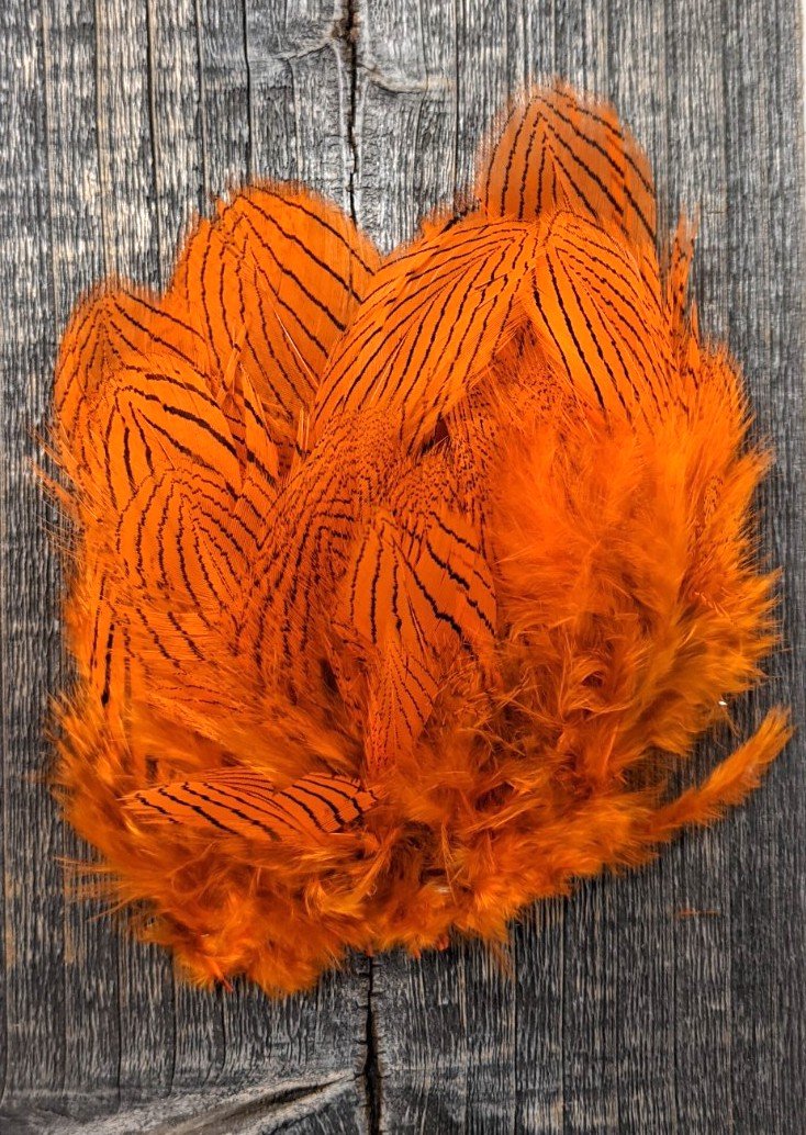 Hareline Dubbin Silver Pheasant Body Feathers Hot Orange Saddle Hackle, Hen Hackle, Asst. Feathers