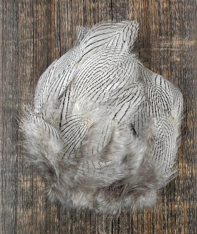 Hareline Dubbin Silver Pheasant Body Feathers Natural Saddle Hackle, Hen Hackle, Asst. Feathers