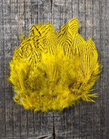 Hareline Dubbin Silver Pheasant Body Feathers Yellow Saddle Hackle, Hen Hackle, Asst. Feathers