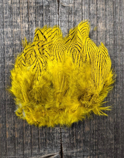Hareline Dubbin Silver Pheasant Body Feathers Yellow Saddle Hackle, Hen Hackle, Asst. Feathers