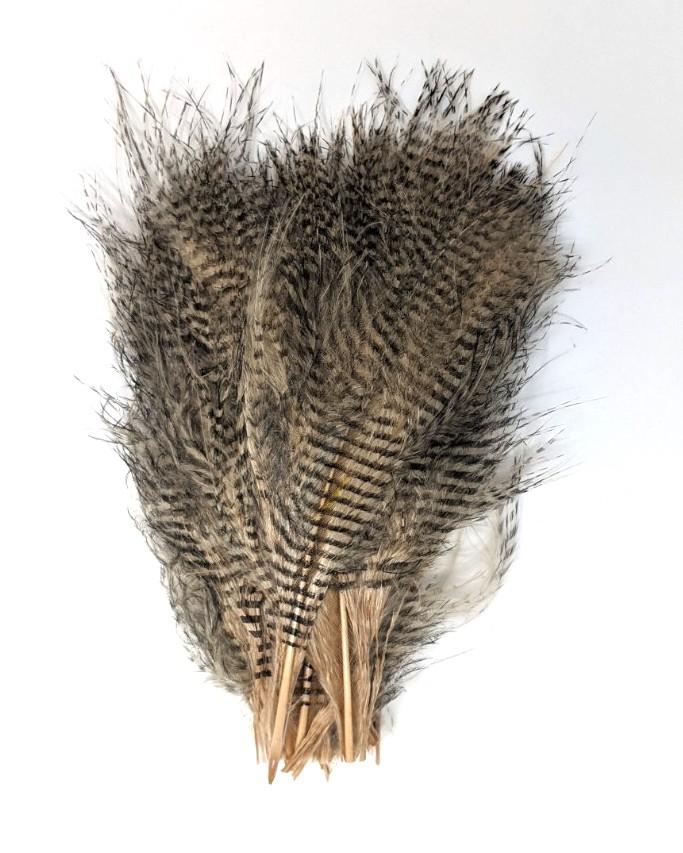 Hareline Fine Black Barred Marabou #382 Wood Duck Tan Saddle Hackle, Hen Hackle, Asst. Feathers