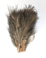 Hareline Fine Black Barred Marabou #382 Wood Duck Tan Saddle Hackle, Hen Hackle, Asst. Feathers