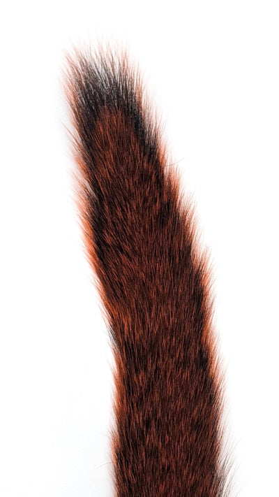 Hareline Gray Squirrel Tail Dyed Orange Hair, Fur