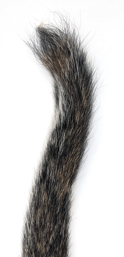 Hareline Gray Squirrel Tail Natural Hair, Fur