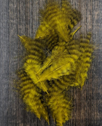 Hareline Grizzly Mini Marabou Yellow Saddle Hackle, Hen Hackle, Asst. Feathers