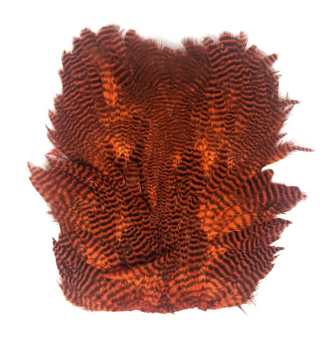 Hareline Grizzly Soft Hackle Marabou Patch Hot Orange Saddle Hackle, Hen Hackle, Asst. Feathers