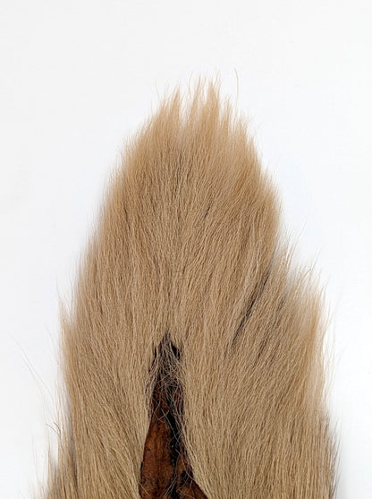 Hareline Large Northern Bucktail Tan Hair, Fur