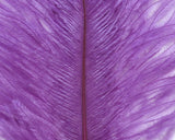 Hareline Ostrich Marabou Purple Saddle Hackle, Hen Hackle, Asst. Feathers