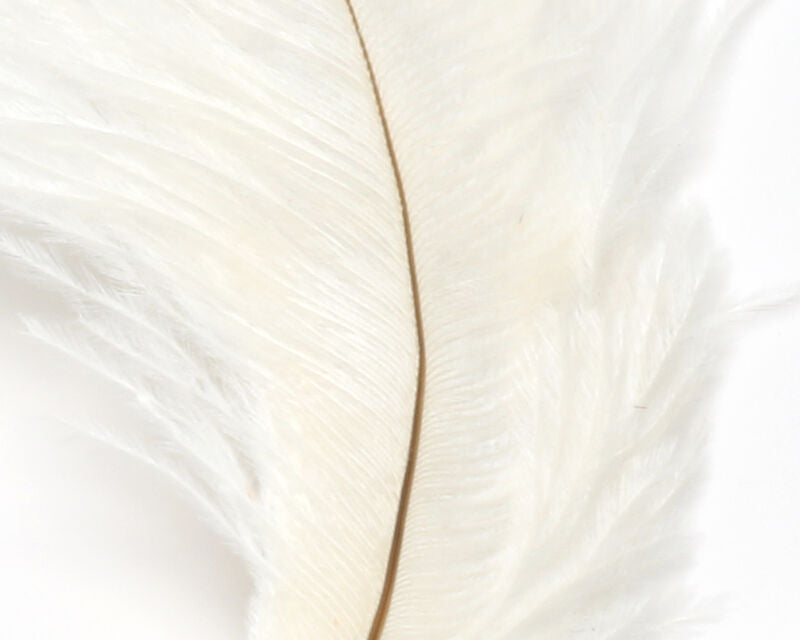 Hareline Ostrich Marabou White Saddle Hackle, Hen Hackle, Asst. Feathers