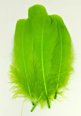 Hareline Select Goose Shoulder Chartreuse #54 Saddle Hackle, Hen Hackle, Asst. Feathers