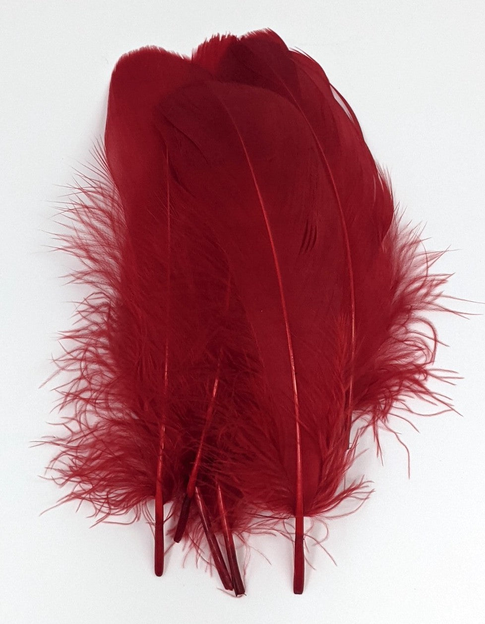 Hareline Select Goose Shoulder Crimson #78 Saddle Hackle, Hen Hackle, Asst. Feathers