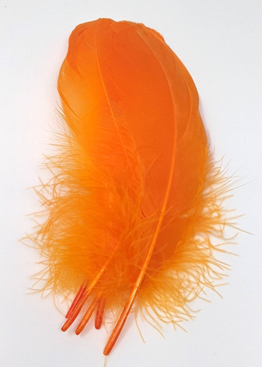 Hareline Select Goose Shoulder Fl. Orange #137 Saddle Hackle, Hen Hackle, Asst. Feathers