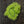 Hareline Silky Bunnybou Strips #127 Fl Chartreuse Hair, Fur