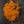 Hareline Silky Bunnybou Strips #187 Hot Orange Hair, Fur