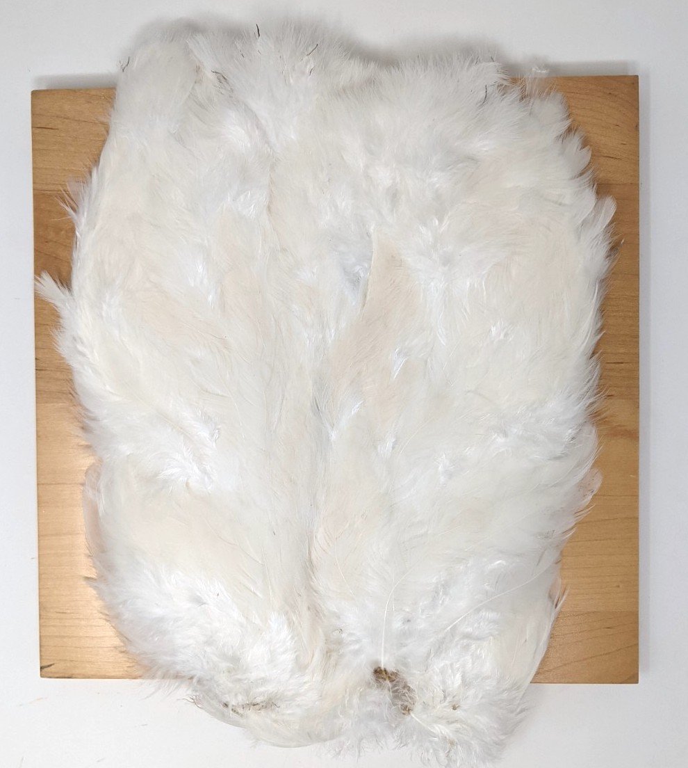 Hareline Soft Hackle Marabou Patch White Saddle Hackle, Hen Hackle, Asst. Feathers