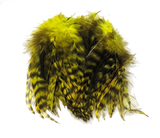 Hareline Strung 4-6 inch Grizzly Variant Saddle Hackle Bright Yellow #37 Saddle Hackle, Hen Hackle, Asst. Feathers