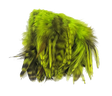 Hareline Strung 4-6 inch Grizzly Variant Saddle Hackle Fl Chartreuse #127 Saddle Hackle, Hen Hackle, Asst. Feathers