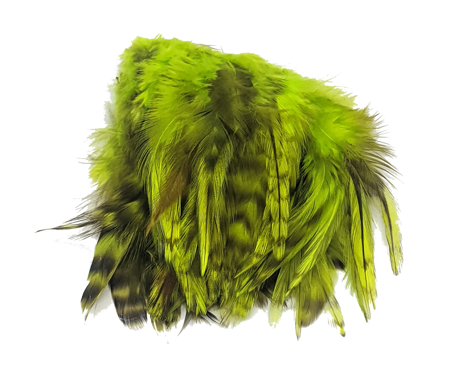 Hareline Strung 4-6 inch Grizzly Variant Saddle Hackle Fl Chartreuse #127 Saddle Hackle, Hen Hackle, Asst. Feathers