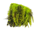 Hareline Strung 4-6 inch Grizzly Variant Saddle Hackle Fl Chartreuse #127 Saddle Hackle, Hen Hackle, Asst. Feathers