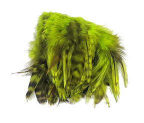 Hareline Strung 4-6 inch Grizzly Variant Saddle Hackle Fl Chartreuse #127 Saddle Hackle, Hen Hackle, Asst. Feathers