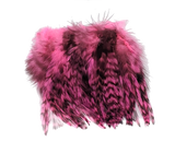 Hareline Strung 4-6 inch Grizzly Variant Saddle Hackle Fl Hot Pink #138 Saddle Hackle, Hen Hackle, Asst. Feathers