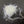Hareline UV Polar Chenille UV Pearl / Large Chenilles, Body Materials