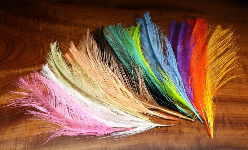 Hareline UV2 Raptor Hackle - Short Rhea Quills Fly Tying Feathers