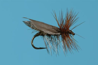 henryville special dry fly