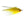 Home Invader Yellow Grizzly 