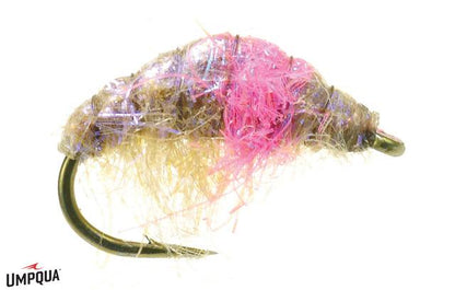 Hunchback Scud UV OLIVE/PINK / 14 Flies