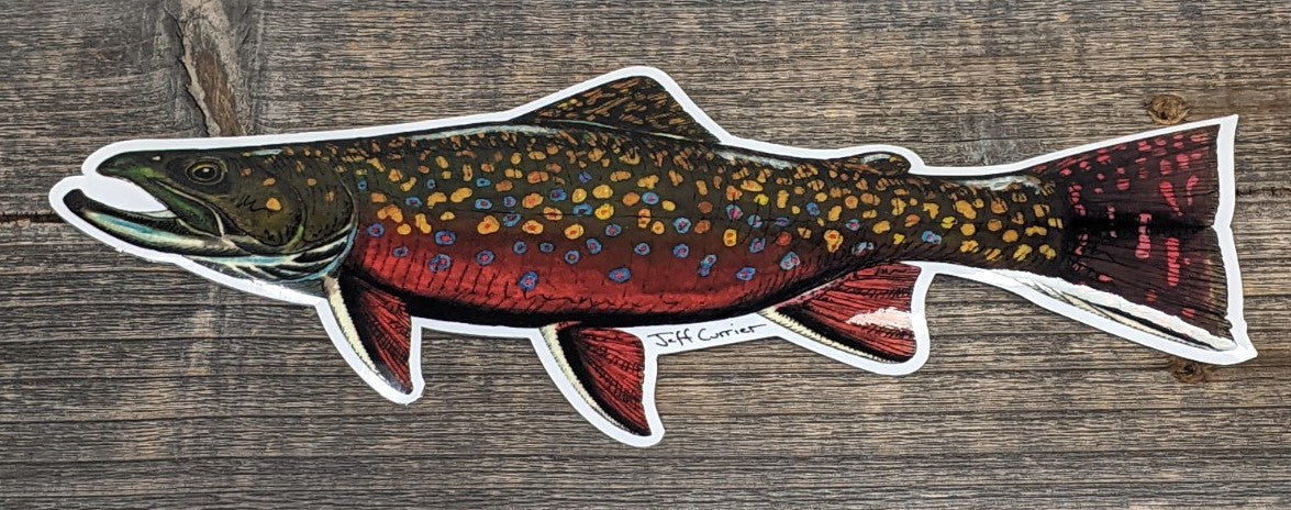 Jeff Currier Decals Brook Trout / 10 inch Stickers