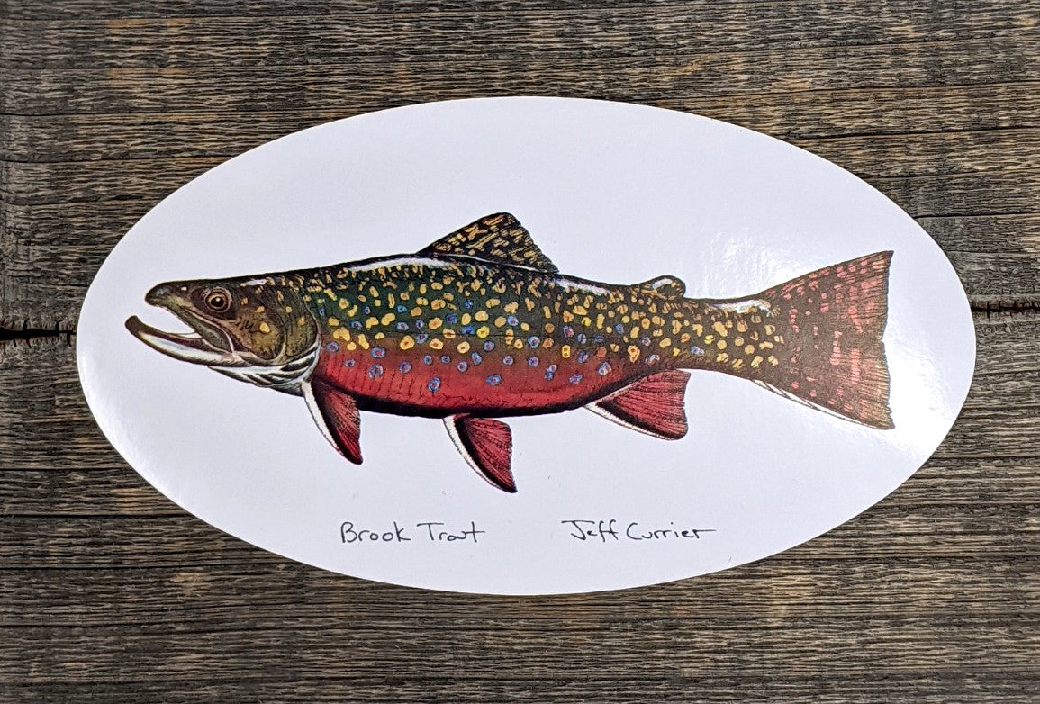 Jeff Currier Decals Brook Trout / Oval Stickers