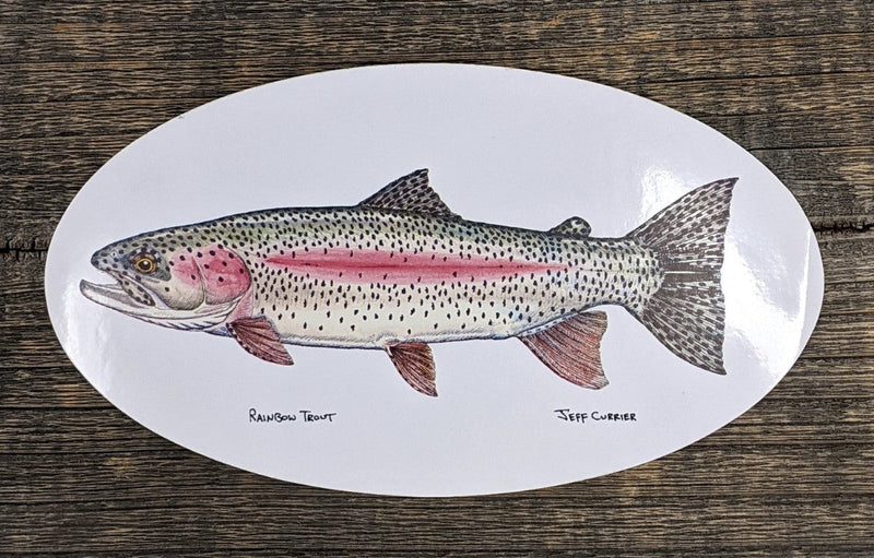 Jeff Currier Decals Rainbow Trout / Oval Stickers
