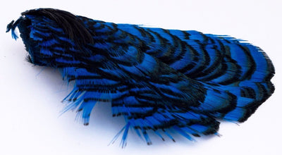 Hareline Lady Amherst Head Kingfisher Blue