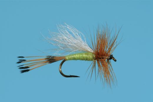 Lime Trude Dry Fly