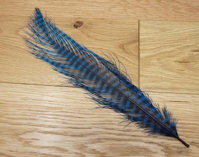 MFC Barred Ostrich Plume Kingfisher Blue/Royal Blue - 1 Plume Saddle Hackle, Hen Hackle, Asst. Feathers