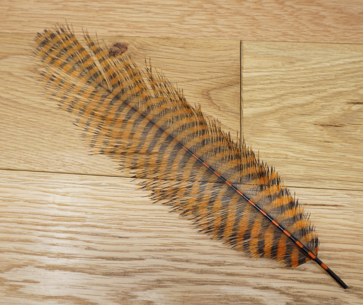 MFC Barred Ostrich Plume Orange/Black - 1 Plume Saddle Hackle, Hen Hackle, Asst. Feathers