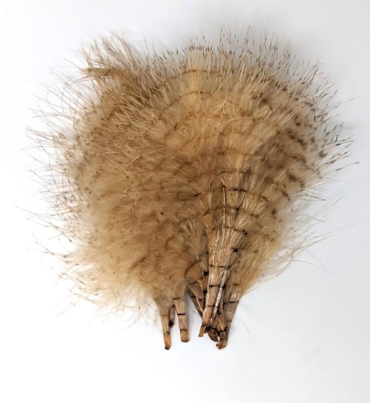 MFC Fine Barred Marabou Tan/Barred Brown Saddle Hackle, Hen Hackle, Asst. Feathers