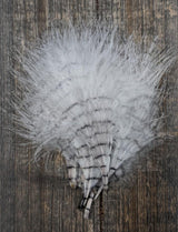 MFC Fine Barred Marabou White/Barred Black Saddle Hackle, Hen Hackle, Asst. Feathers