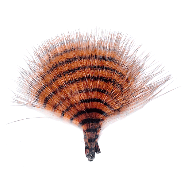 MFC Mini Barred Buggerbou Burnt Orange/Barred Black Saddle Hackle, Hen Hackle, Asst. Feathers