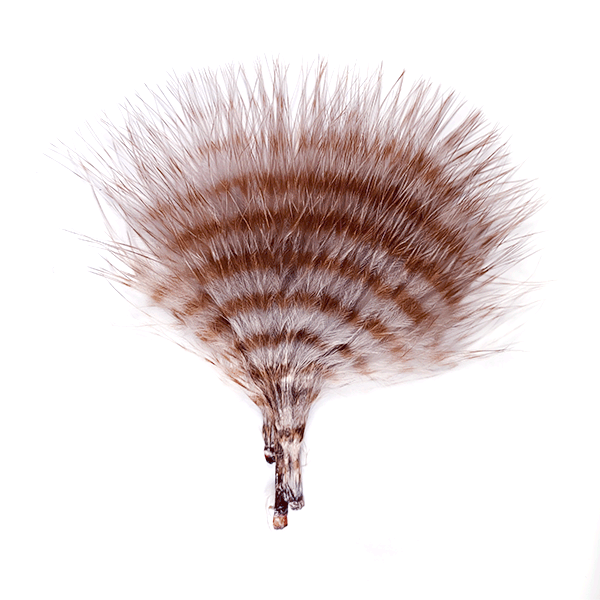 MFC Mini Barred Buggerbou Grey/Barred Brown Saddle Hackle, Hen Hackle, Asst. Feathers