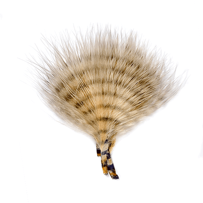 MFC Mini Barred Buggerbou Tan/Barred Gray Saddle Hackle, Hen Hackle, Asst. Feathers