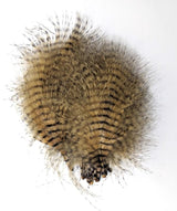 MFC Mini Barred Marabou 3-5" Tan/Black Saddle Hackle, Hen Hackle, Asst. Feathers